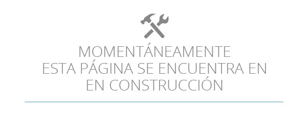 construccion v01
