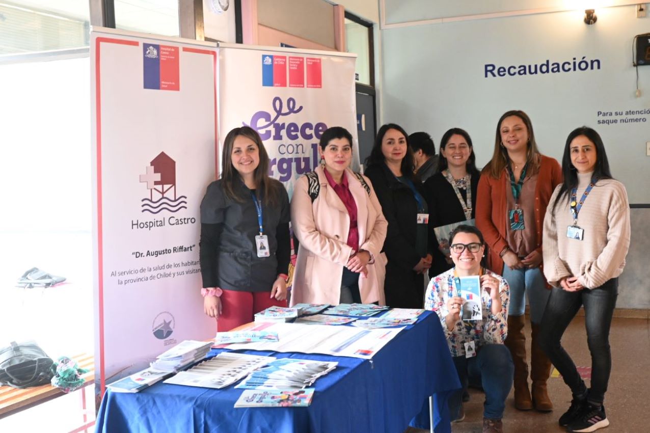 programas enfoque genero hospi castro redim